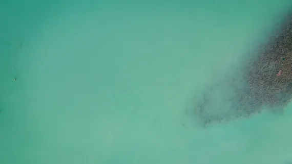 Kasino Lucky Luke Tuki